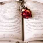 Kniha není dar, dokud není přečtena...