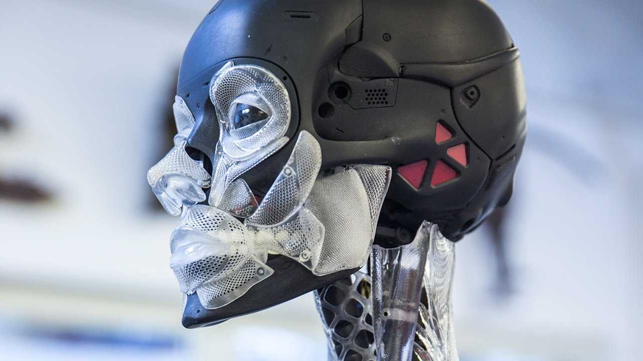ghost in the shell
