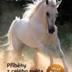 Koně - Příběhy z celého světa - kniha