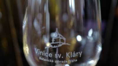 Vino z vinice sv. Klary 3