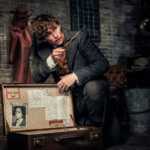 Fantastická zvířata: Grindelwaldovy zločiny - Rozpačitý návrat do kouzelnického světa Harryho Pottera