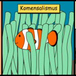 3D technologie