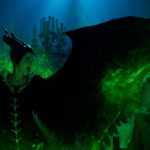Zloba: Královna všeho zlého (Maleficent: Mistress of Evil) – Recenze – 40%