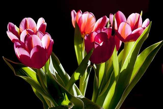 img a288068 w1993 t1498574303 img a288068 w1993 t1498574303