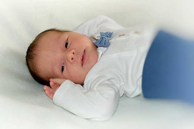 img a290511 w1731 t1503231932 img a290511 w1731 t1503231932