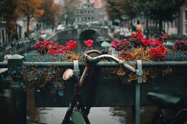 img a288630 w1994 t1499244613 img a288630 w1994 t1499244613