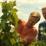 3Bobule – Recenze – 40%