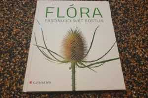 flora1