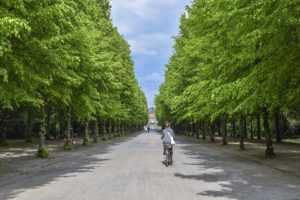 avenue 5314089 1920