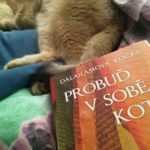 David Michie: Dalajlamova kočka, Probuď v sobě kotě