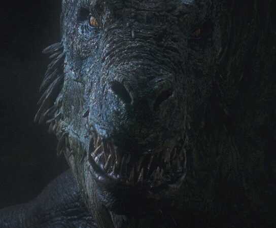 Vhag Photo © Home Box Office (HBO)