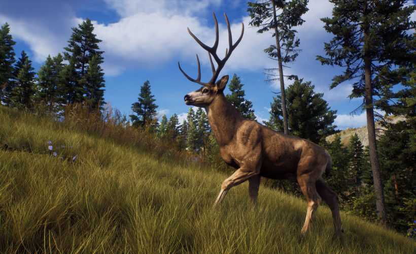 Foto:Nine Rocks Games & THQ Nordic
