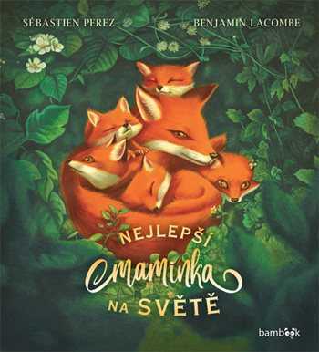 137527 Kniha Nejlepsi maminka na svete Perez Sebastien Grada 350 0 fit
