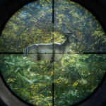 Zdarma na Epic store: theHunter: Call of the Wild a Idle Champions of the Forgotten Realms